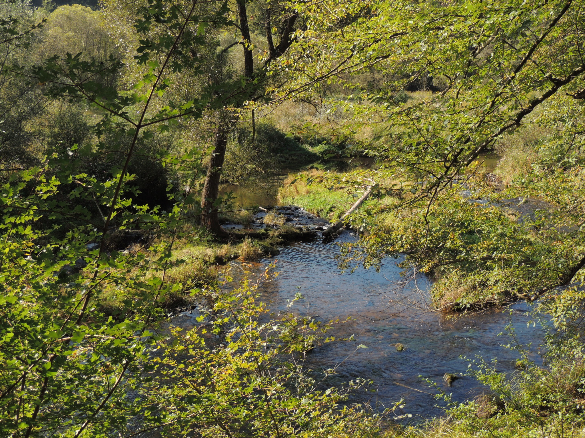 Natur genießen Horn