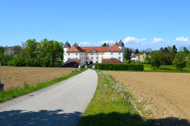 Schloss Losensteinleiten in Wolfern, einst im Besitz der Auersperg, ist ein Insolvenzfall. | Foto: Privat