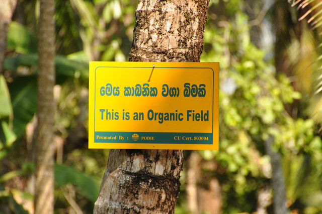 Gewürze aus den Gärten der Vielfalt - Baden