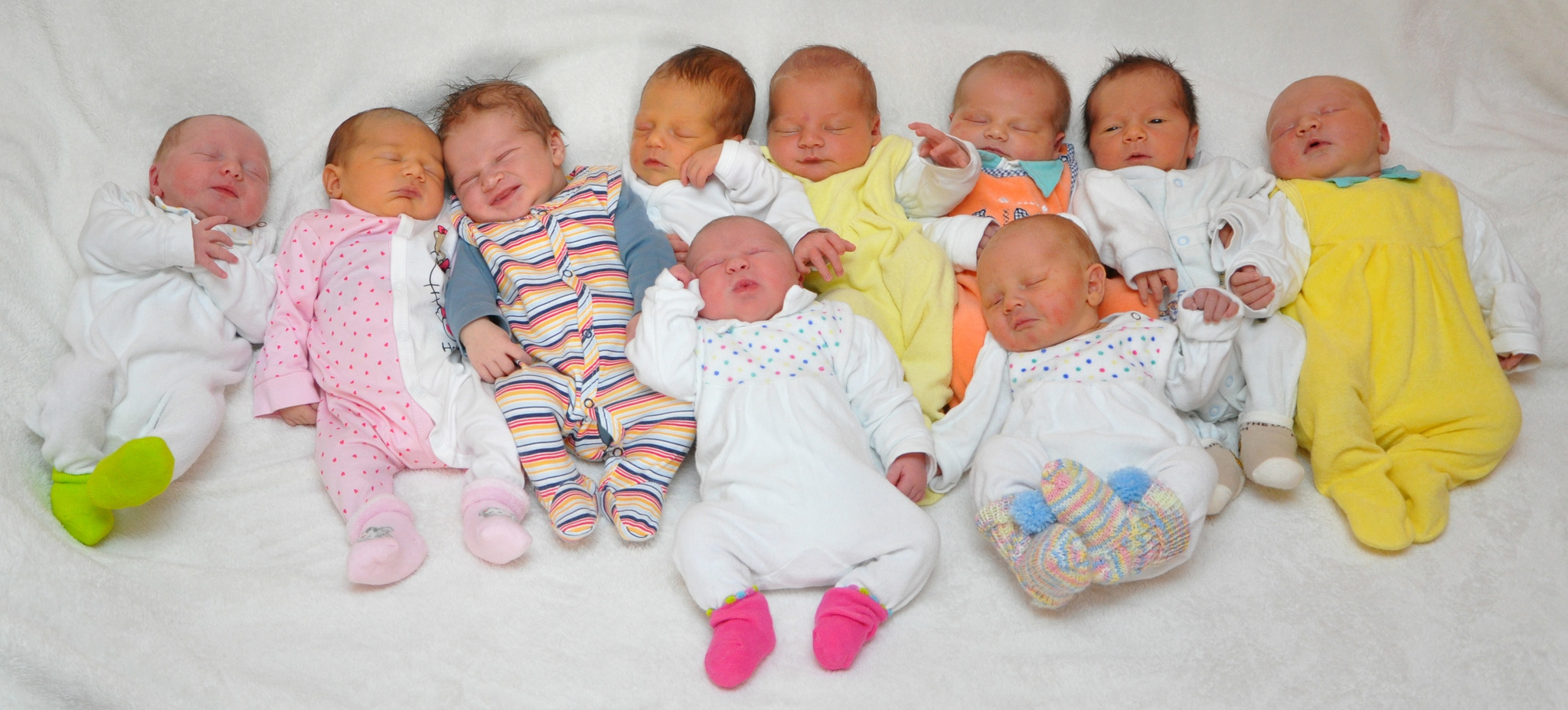 Zehn Babys Zum Verlieben Freistadt zehn-babys-zum-verlieben-freistadt