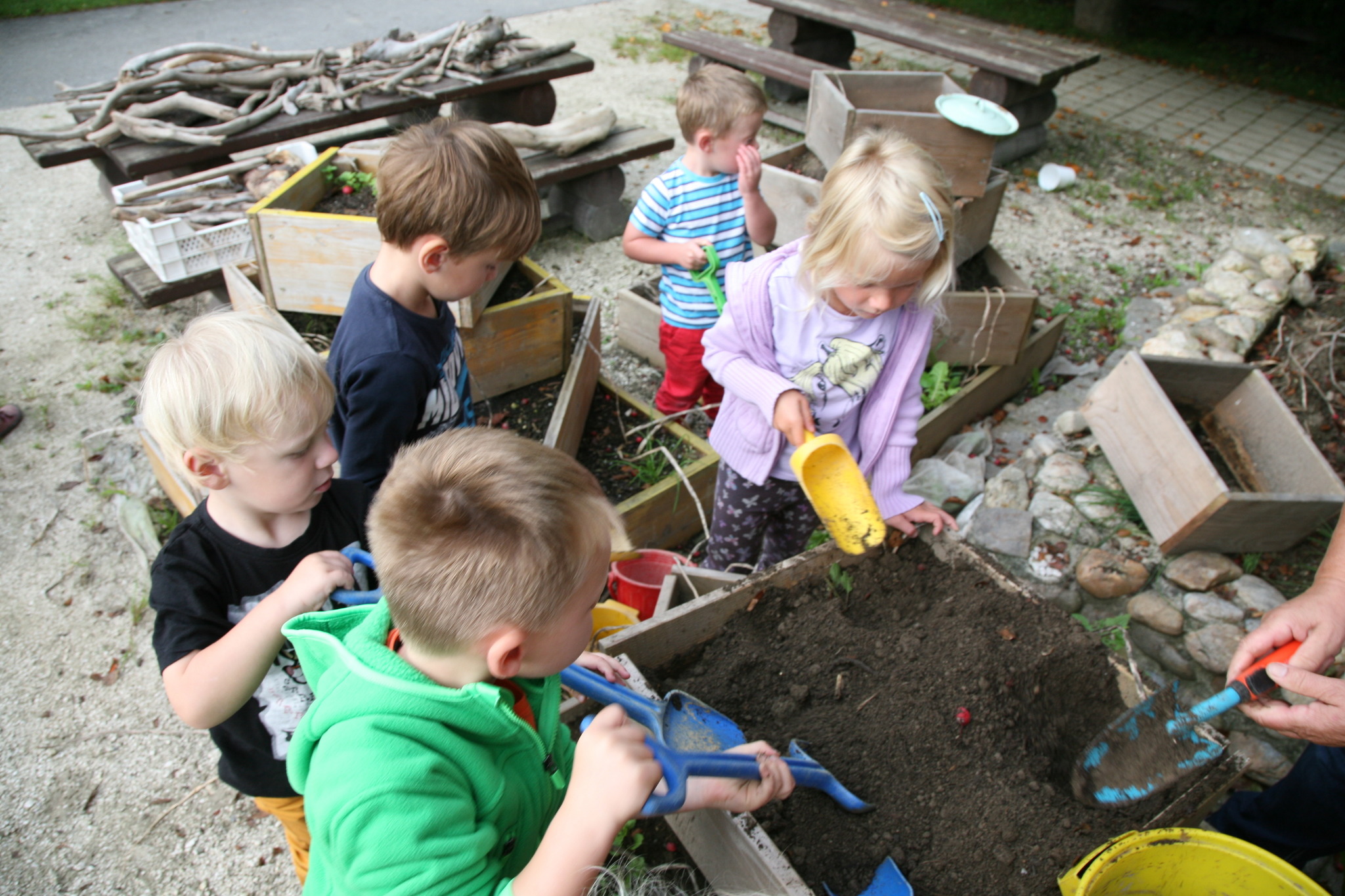  Kartoffelernte im Kindergarten Taufkirchen - Schärding Illustration 