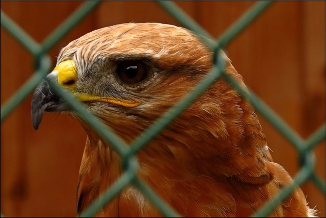 Die Gitter sind zwar nötig, erschweren aber das Fotografieren und machen auch sehr nachdenklich