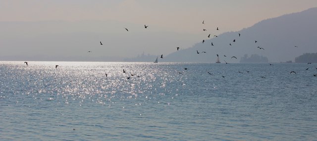 Stille am Attersee