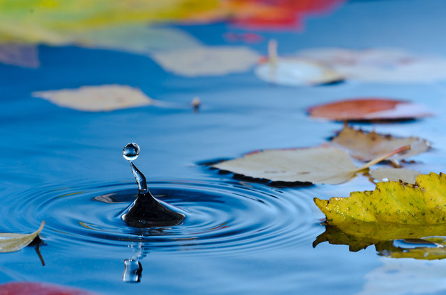 Foto: Roblan/Fotolia