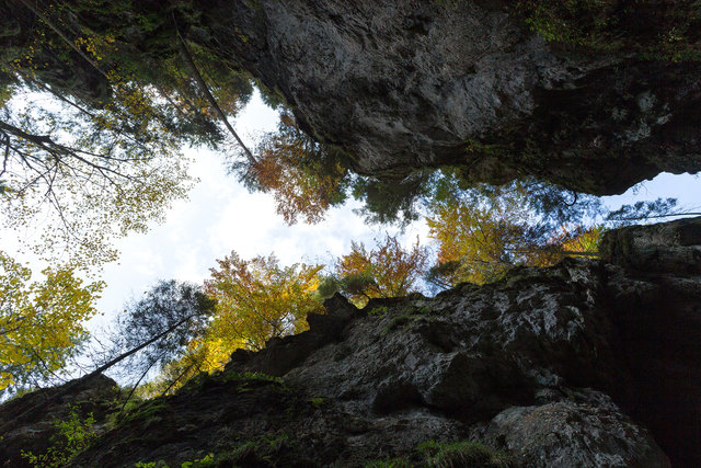 Ein Blick nach oben