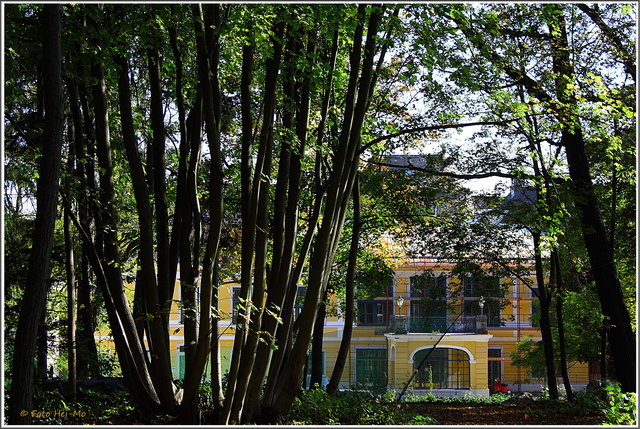 Schloss Neuwaldegg - soweit es zu sehen ist....