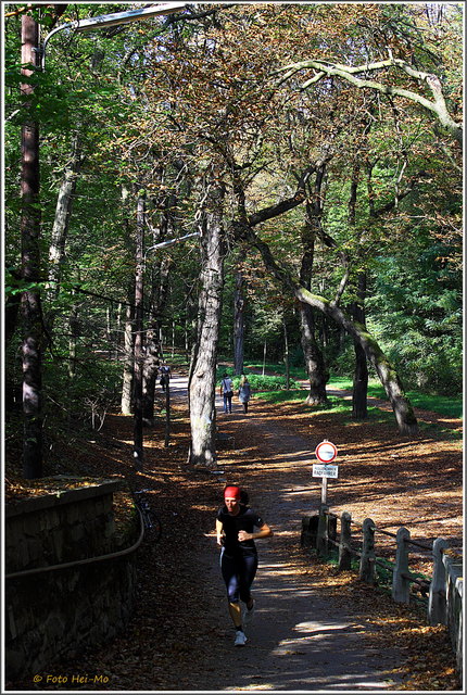 Der Eingang zum Schwarzenbergpark in der Waldegghofgasse.
