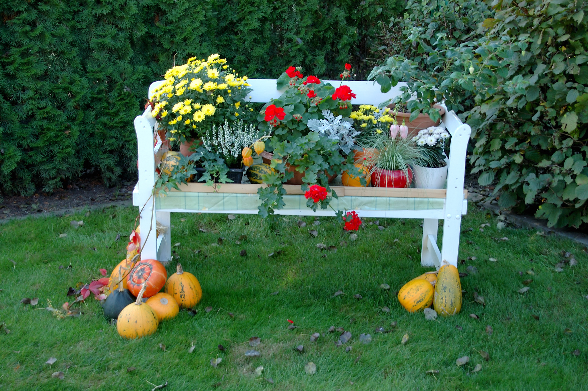 Herbstdeko im Garten Tulln