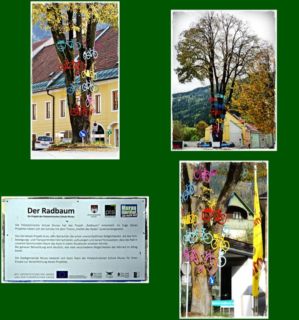 Der Radbaum in Murau, ein Projekt der Polytechnischen Schule in Murau