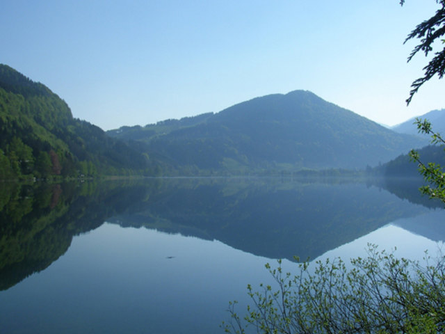 Bei der Präsentation im WasserCluster kann man sich über die Geschichte der Gewässerforschung in Lunz am See informieren. | Foto: privat