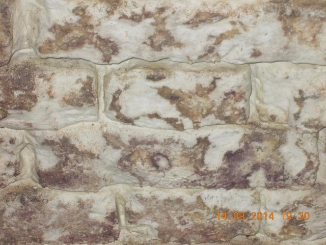 Schimmel Detail