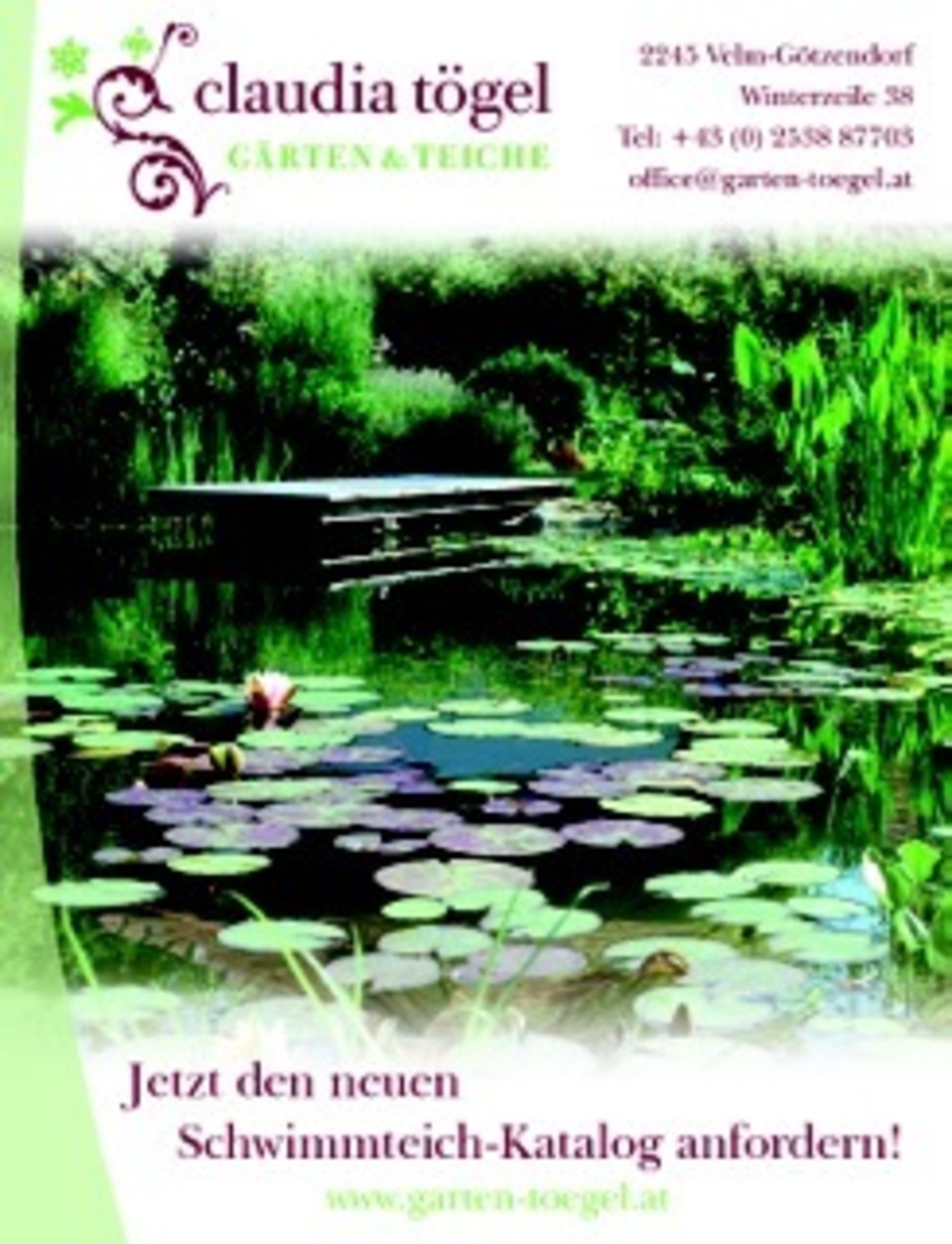 Herbstputz am Gartenteich Gänserndorf
