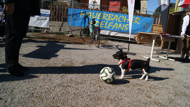 Niki ist Fußballbegeistert.
