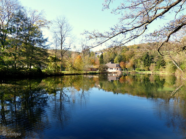 Teich in Neuhaus an der Triesting Baden