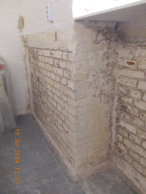 feuchte Mauer mit Schimmelbelag hinter Verschalung