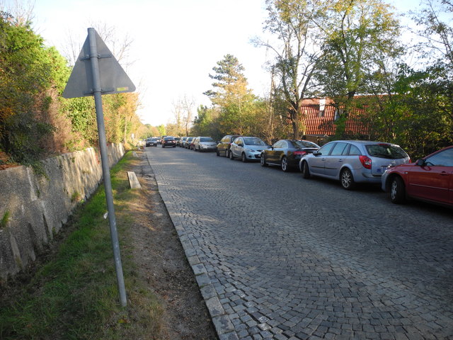 Zu viele PKW wo diese nicht hingehören, denn der Verkehr wird behindert.