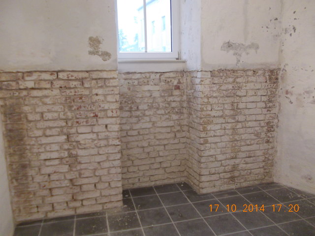 hinter Verschalung Schimmel