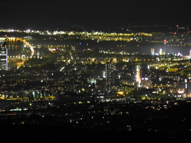 Das Lichtermeer der Stadt Wien vom Kahlenberg