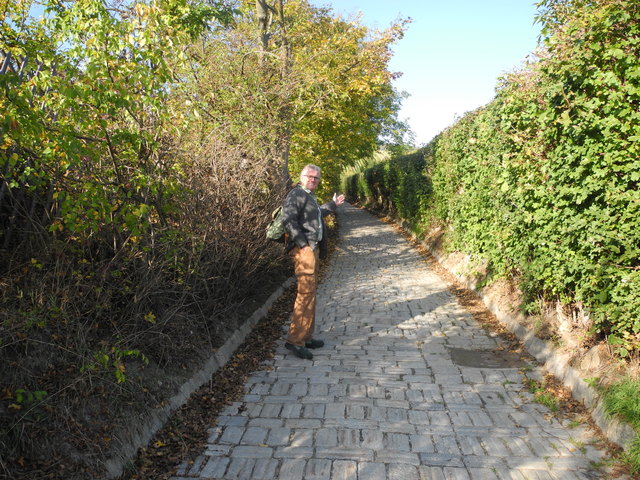 Ein herrlicher Weg der durchs Fuhrgassel führt