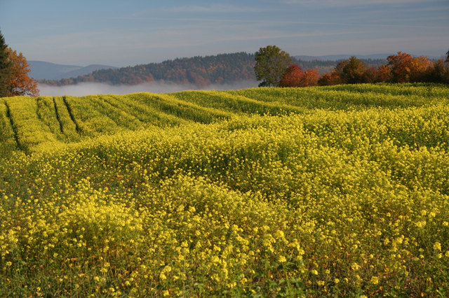 Foto: Philipp Hochmuth