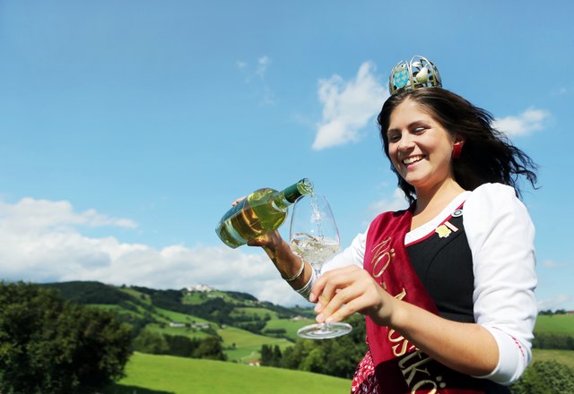 Beim Mostfest in Wieselburg kann man sich an der "Schmankerlstraße" regionale Spezialitäten schmecken lassen. | Foto: Weinfranz
