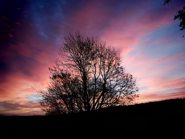 Morgenrot  - bevor der Schnee kam