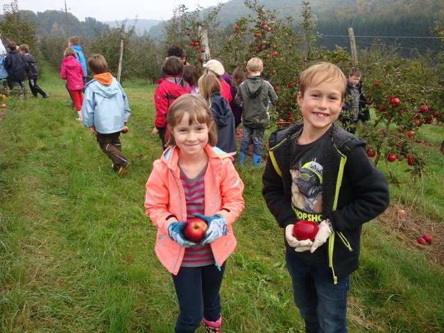 Kinder der Volksschule Neuhaus am Klausenbach bei der Apfelernte. | Foto: Lafer
