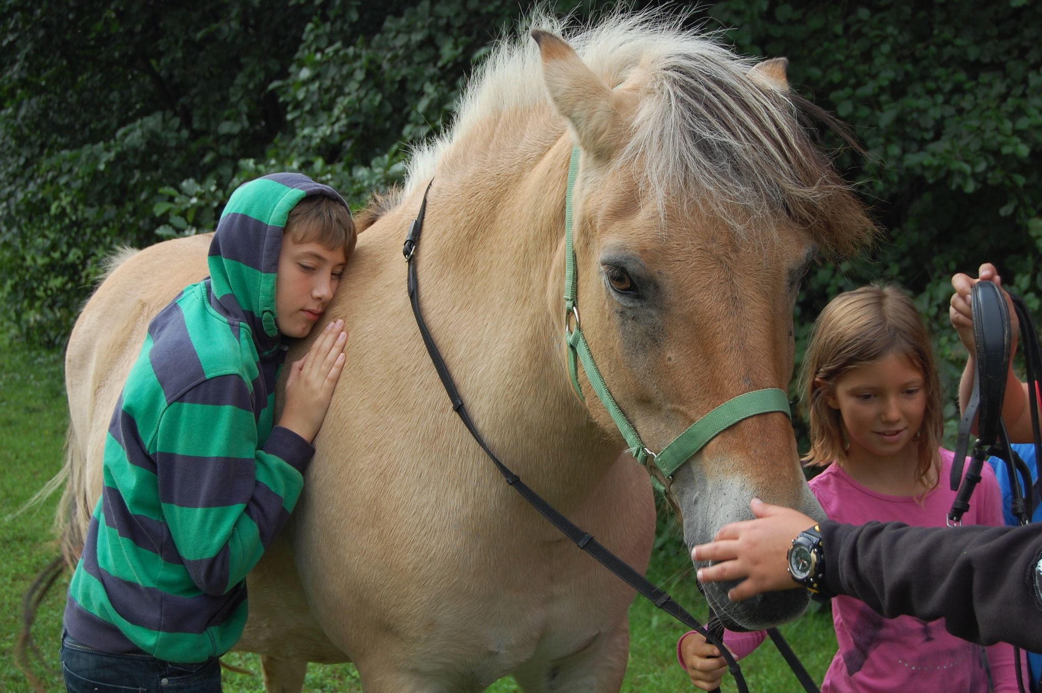 Mit Pferden das Lernen wieder lernen - Villach Land