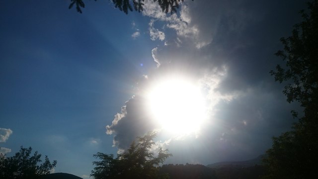 „Bleibe nicht am Boden heften,
Frisch gewagt und frisch hinaus!
Kopf und Arm mit heiteren Kräften,
Überall sind sie zu Haus;

Wo wir uns der Sonne freuen,
Sind wir jede Sorge los;
Daß wir uns in ihr zerstreuen,
Darum ist die Welt so groß.“

Johann Wolfgang von Goethe (1749 - 1832)