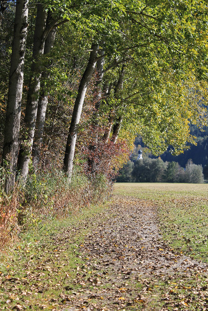 ... ein schöner Herbstweg mit Blick auf die Piller Kirche ...