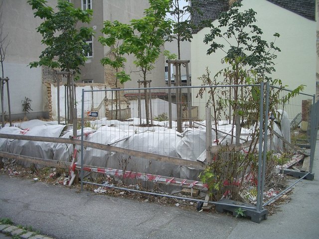 Dieses Grundstück Ecke Cottagegasse / Hofstattgasse, so Leser Steininger. | Foto: Helmut Steininger