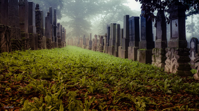 Annähernd  1000 Grabsteine stehen auf dem 1567 errichteten Friedhof