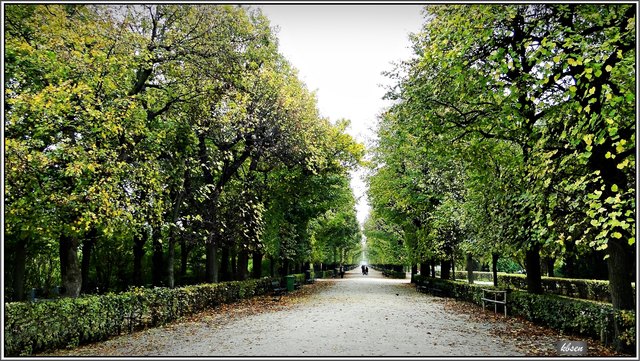 gemütlich durch die Allee