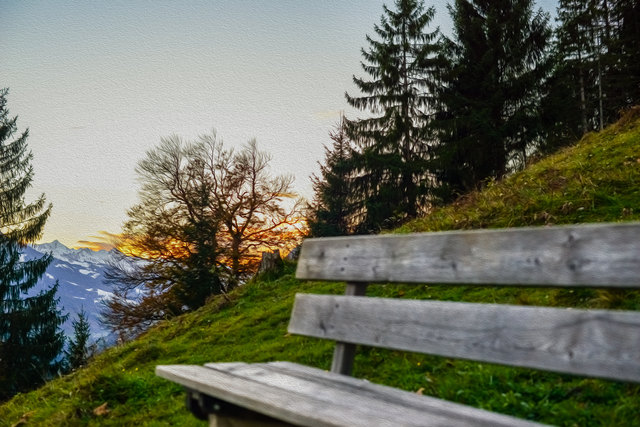 Bei diesem Bild gab ich der Technik eine Chance,und probierte es mal in Öl.