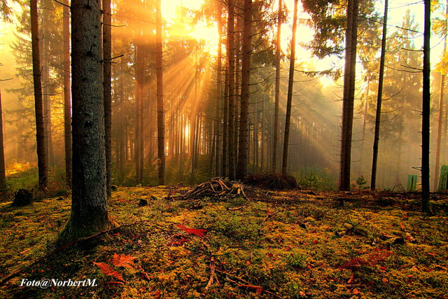 Wunderschöne Herbststimmung am Oswaldiberg in Villach