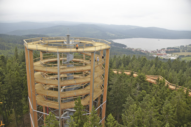 Ein einzigartiges Panorama über den Böhmerwald bietet der Baumwipfellehrpfad in Lipno.