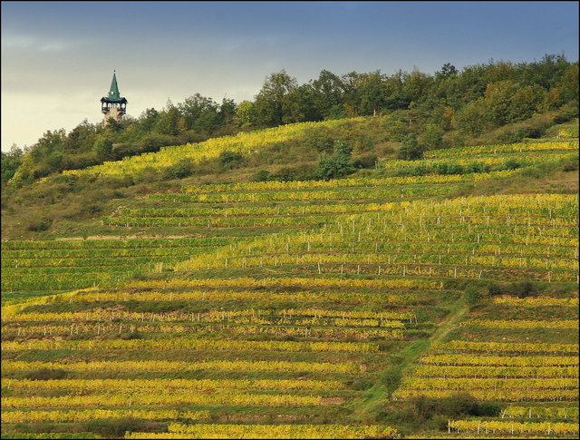 Herbstlicher Heiligenstein Hollabrunn