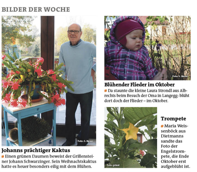 Bilder der Woche unserer Reginauten