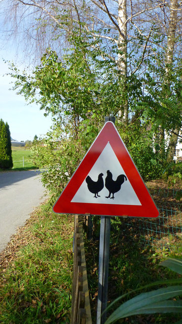 Gesehen in Hallein