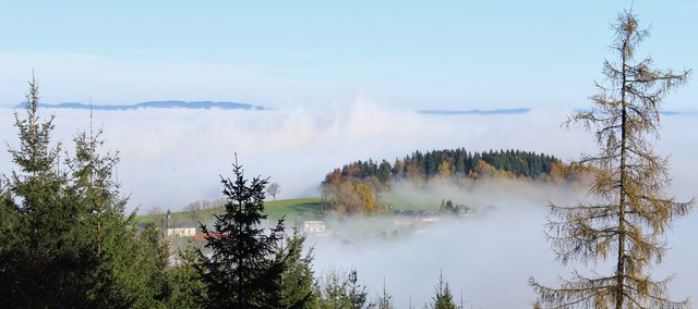Föhn-Stimmung: Der Blick vom Buchberg heute, auf Berg im Attergau. Nachdem ich diese Aufnahme gemacht hatte, hat der Nebel den kleinen Ort verschluckt...