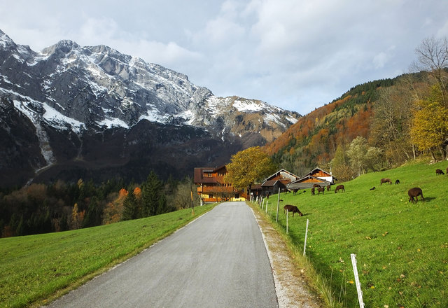 Beim Haigermoser - noch weiden seine Bergschafe auf der grünen Wiese.
