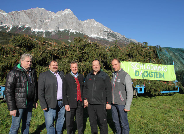 Spendeten den Baum: Thomas Ferstl, Manfred Danklmaier, Alois Guggi, Wolfram Steiner und Mathias
Schattleitner.