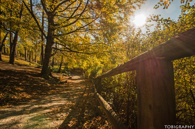 Park beim Schloss Amras