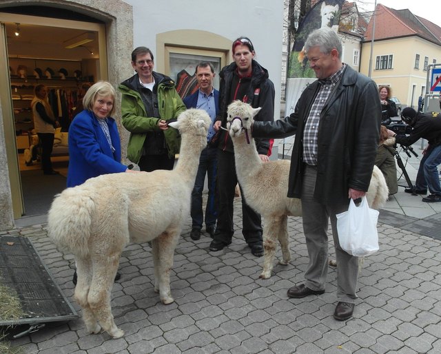 Walter Schneidhofer (grüne Jacke) mit seinen Alpakas Pauli und Frodo.