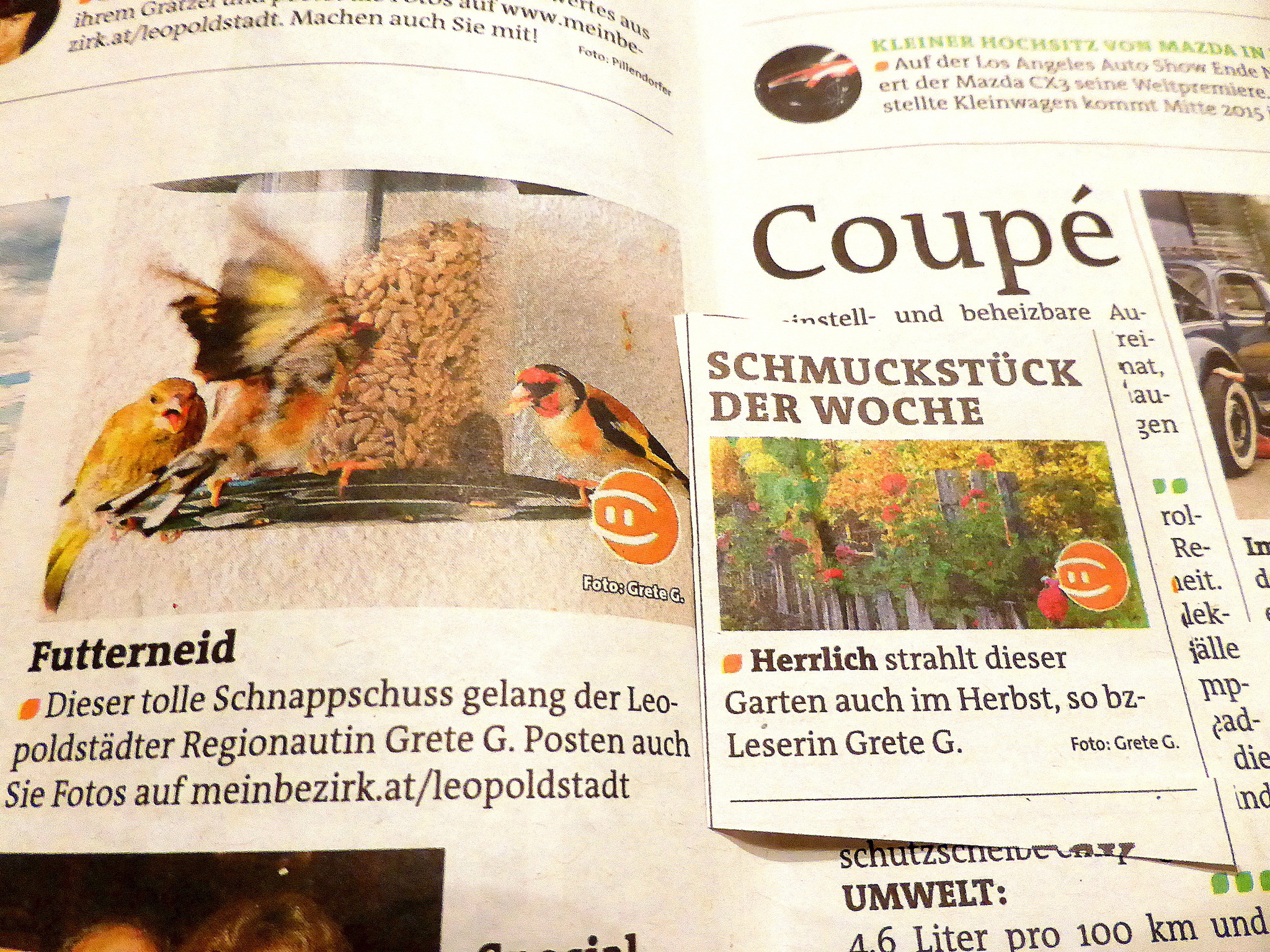 Etwas verspätet bedanke ich mich recht herzlich bei der BZ für die