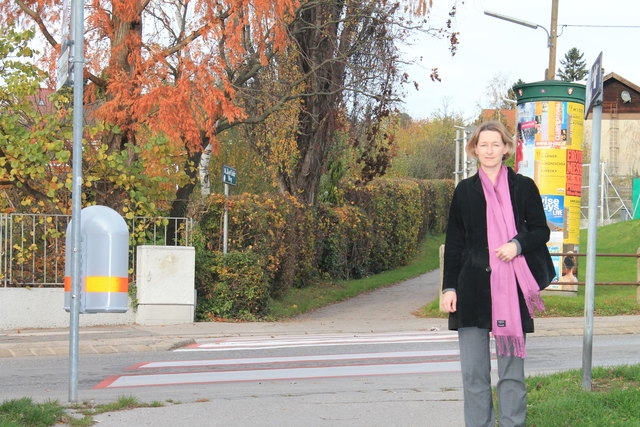 "Unsere Kinder brauchen Schutz im Straßenverkehr", Barbara Fahringer-Postl
