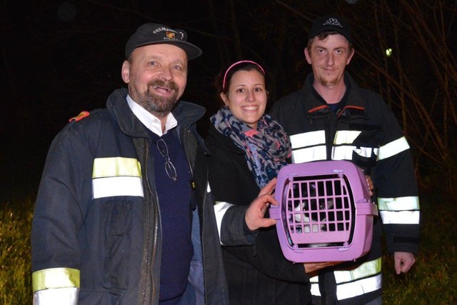 Kommandant Franz Bürger, Besitzerin Bianca mit Kater "Lui" und Feuerwehrmann Patrik Lechner. | Foto: www.einsatzdoku.at