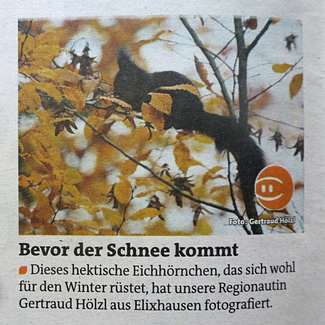 Herzlichen Dank, liebe Redaktion!