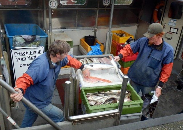 Die Ausbeute wird sortiert und präsentiert