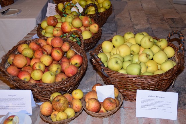 Über 60 heimische Apfelsorten standen zum Verkosten und Besichtigen bereit.